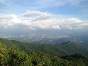 image-16